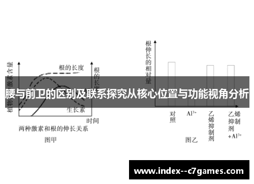 腰与前卫的区别及联系探究从核心位置与功能视角分析 腰与前卫的区别及联系探究从核心位置与功能视角分析