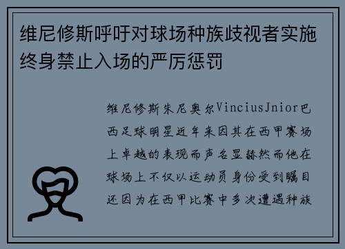 维尼修斯呼吁对球场种族歧视者实施终身禁止入场的严厉惩罚