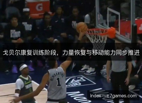 戈贝尔康复训练阶段,力量恢复与移动能力同步推进 戈贝尔康复训练阶段,力量恢复与移动能力同步推进